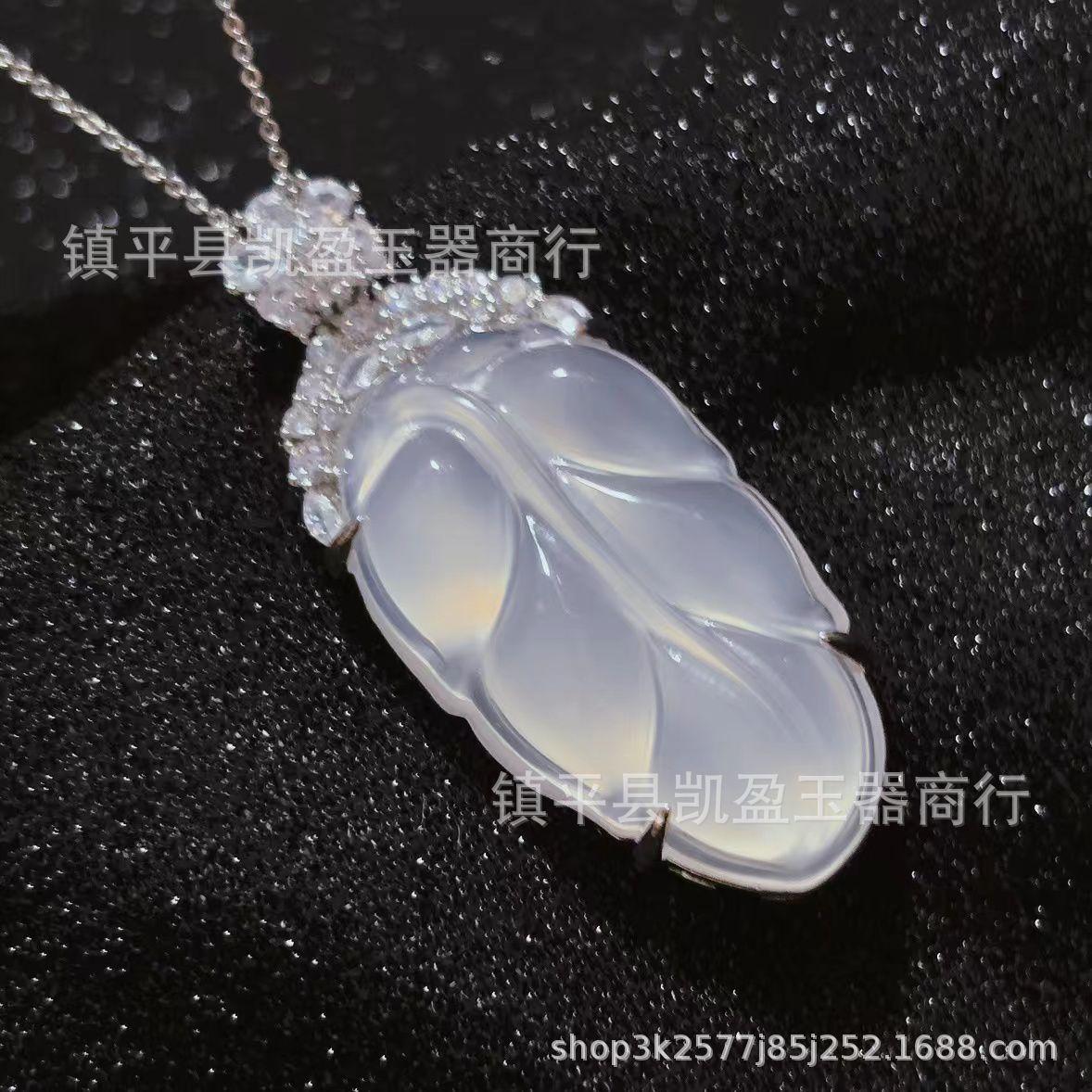 QQ图片20240921203346