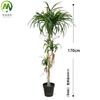 Plantas Verdes Artificiais Grandes para Decoração: Dracena Falsa, Árvore Sangue de Dragão Artificial, Paisagismo de Decoração Suave para Interior, Plantas Verdes Artificiais