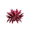 Folhas artificiais da Amazon para decoração transfronteiriça: árvore sangramento de dragão simulada, folha de madeira brasileira, samambaia ninho de pássaro e folhas artificiais verdes