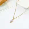 Collar con Colgante Estilo Playa Océano Serie Animales Caracola Cadena Clavícula Versátil Moda Femenina Venta al por Mayor Femenina