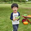Camiseta de Manga Larga para Niños, Ropa Infantil Otoñal con Bloques de Color, Camiseta Básica Trendy Holgada para Niños Pequeños Estilo Otoño