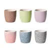 Vaso de cerâmica multi-carnudo criativo mini combinação macaron planta cacto vaso de mesa ornamentos fabricantes de vasos atacado