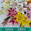 3 lirios artificiales de orquídea tigre, lirios de comercio exterior, venta al por mayor, flores falsas de pegamento suave, decoración para bodas, hoteles y hogares, flores de seda.