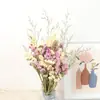 Buquê de Flores Secas DIY Gipsofila Miosótis Rosa Margarida Folhas de Eucalipto Enfeites de Casa Props para Fotos do Instagram