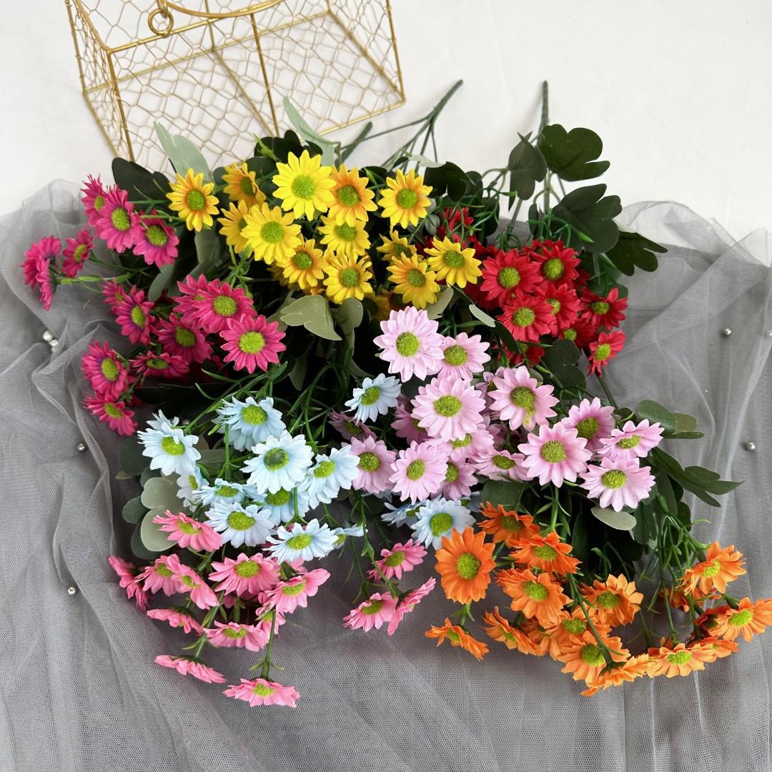 邹菊把3
