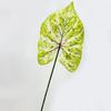 Flor Artificial Material Estilo Bosque Salón de Bodas Impresión 3D Hoja de Taro Planta Verde Pared de Fondo Decoración para Set de Hogar Restaurante Planta Verde