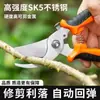 Tijeras de Jardinería para Podar Árboles Frutales, Flores, Plantas en Maceta, Tijeras para Ramas Gruesas, Podaderas de Jardín Tiras de Madera