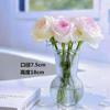 Vaso Transparente Simples Estilo Nórdico Ins Feng Shui Flores Vaso de Vidro para Decoração de Sala de Estar Decoração de Celebridade da Internet