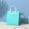 Bolsa para llevar aislada de tela no tejida con logo impreso, bolsa de aluminio para alimentos, barbacoa, conservación de la frescura, bolsa de embalaje