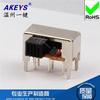 SK-22H04(2P2T) manija interruptor de palanca de 2 velocidades alto 4 pies fijos 6 pies horizontal