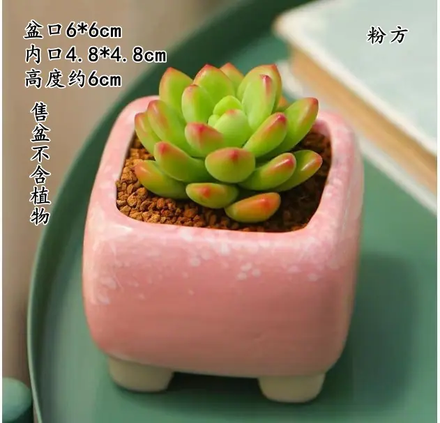 粉方