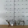 Tocones de Árbol Muerto Ramas Modelo Microscópico Escena Fabricación Suministros para Mascotas Base de Figura Embellecimiento de Fondo Decoración Obstáculo