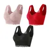 Comércio Exterior Moda Íntima Feminina Plus Size Renda Sutiã com Bojo Fixo Combinação de 3 Peças Cinta para Seios Amazon Aliexpress Transfronteiriço