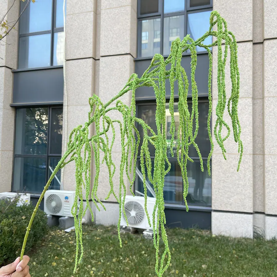 118cm3叉高品龙须草-绿色 10元.JPG