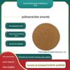 Polissacarídeo de Astragalus Múltiplas Especificações Peptídeo Médio Extrato Biológico de Astragalus Fornecimento Pronto Polissacarídeo de Astragalus
