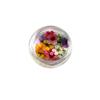 Decoraciones Coloridas para Uñas con Flores Secas Estilos Mixtos Flores Reales Coloridas Pétalos Pequeños de Narciso Decoración de Uñas Materiales para Uñas Portátiles