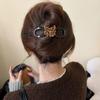 Acessórios de Cabelo de Alta Qualidade para Meninas com Temperamento Elegante, Presilha Torcida de Laço Fofa e de Luxo Leve, Estilo Simples de Desenho Animado para Cabelos Finos, Grampo