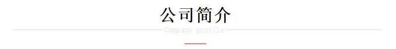 公司简介-1