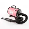 Soprador de Água para Pet 220V, Secador de Cabelo para Cachorro, Alta Potência, Baixo Ruído, para Cães Grandes, Vento Forte para Secagem Rápida