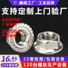 Porcas de Aço Inoxidável 304, Porcas Sextavadas, Porcas com Flange, Porcas Antiderrapantes com Pastilhas, Porcas com Flange Personalizadas Não Padrão
