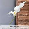Flor Simulada Rama Única Lirio de Calla Eva Boda Arreglo Floral para el Hogar Hotel Sala de Estar de Pie Decoración Paisajística Venta Directa de Flores Artificiales
