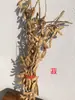 Decorações Agrícolas, Espigas de Trigo, Flores Secas, Espigas de Arroz, Sorgo, Painço, Caules de Gergelim, Galhos Secos, Buquês de Flores, Arranjos Florais, Adereços para Festa da Colheita