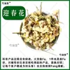 Ingredientes de la Medicina Tradicional China: Forsitia, Ciruelo Dorado Cinturón Dorado Flor Amarilla Pequeña, Jazmín Amarillo, Flor Qingming, Ciruelo Amarillo Arbusto Caducifolio Crecimiento Denso