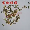 402 Yangqin Rolamento de Esferas Pregos de Corda de Yangqin Chave de Yangqin Sulco de Afinação de Yangqin Carrinho de Polia Acessórios de Yangqin