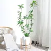 Planta Grande de Madera Pata de Pato en Maceta para Interior para Purificación del Aire, Adecuada para Dormitorio y Sala de Estar, Perenne Todo el Año, Planta Verde de Moda