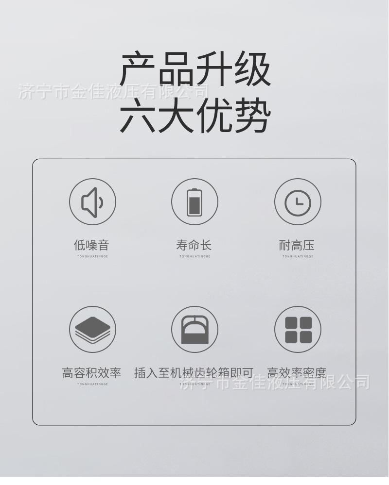 轴向柱塞定量马达2.jpg