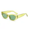 Caramelo Dopamina Color Alto Gama Aspecto Mejorando Tez Personalidad Súper Genial Celebridad de Internet Gato Ojo Gafas de Sol Vacaciones en la Playa Viajes