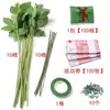 "Dinheiro para Gastar" Buquê Conjunto Completo Pacote de Materiais DIY Feito à Mão Flores de Rosa Folhas Caules de Flores Presente de Aniversário Feito à Mão