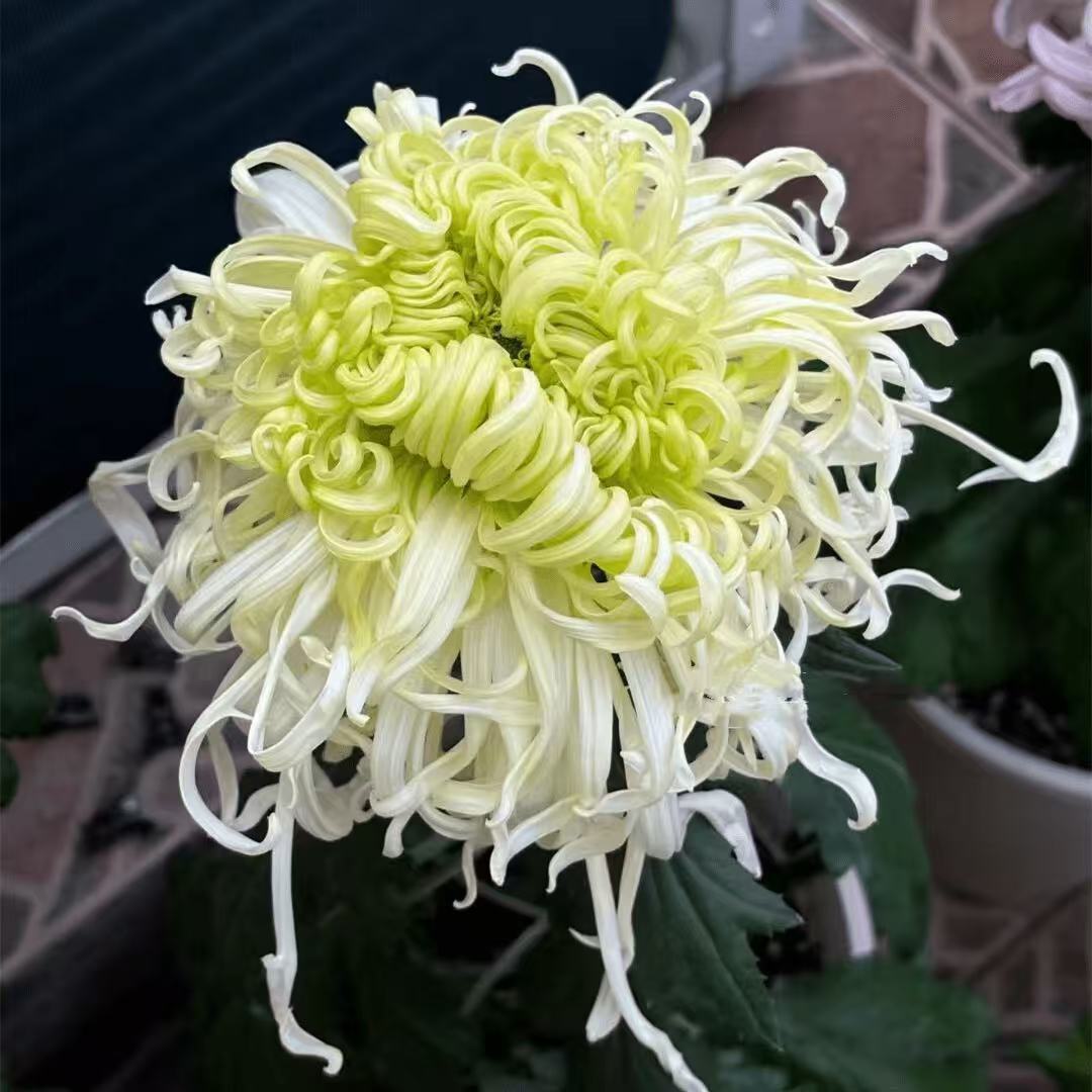 85bb010ac29ab1068ac66a8ef23b8c