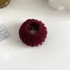 Pinza para el pelo redonda con cuentas de verano para mujer 2026 Nuevo accesorio de alta gama compacto y exquisito para recogido a media altura para la frente y el lateral