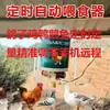 Interruptor temporizador alimentador con control remoto Wifi para palomas, pollos, patos y palomas mensajeras; Comedero Automático para Aves de Corral