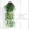 Simulación planta de hoja verde colgante de pared ratán colgante de pared flor eneldo verde simulación flor colgante de pared eneldo verde pequeño flor decorativa al por mayor