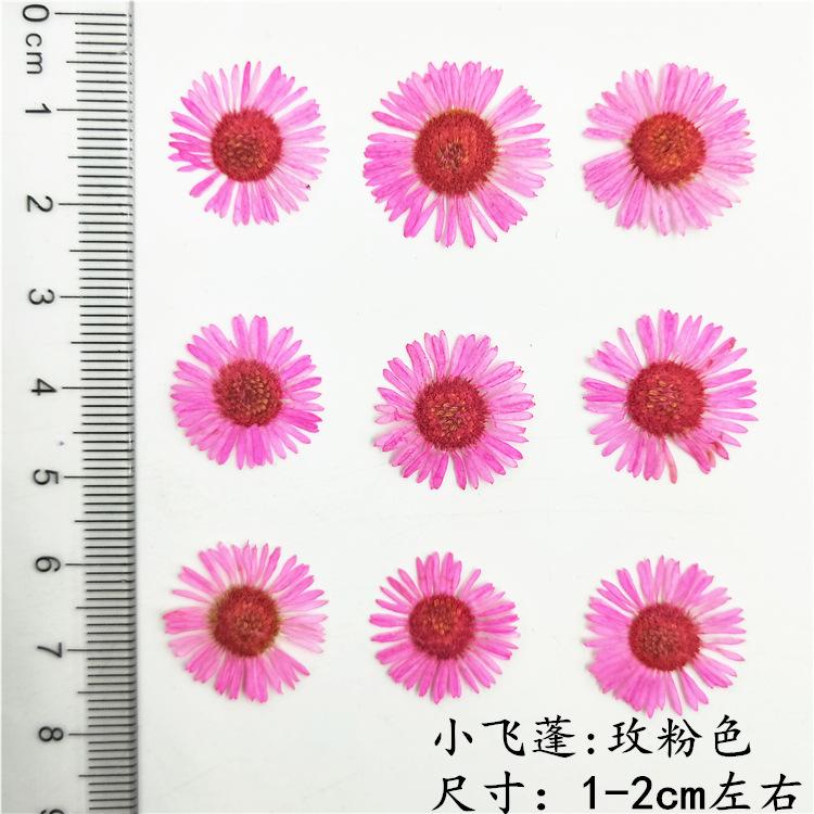 IMG20190111104550