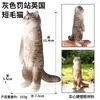 Traje de modelo de gato animal de simulación para niños, juego de gato, gatito, modelo de gatito blanco y negro, juguetes, adornos