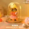 Luminária Noturna de Micro-Paisagem DIY Feita à Mão, Presente de Aniversário para Meninas, Presente Criativo para Melhor Amiga ou Namorada, Festival Qixi