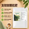 Fertilizante especial para árvores da sorte, fertilizante orgânico, fertilizante para flores, plantas de interior em vasos, promove floração, folhas verde-oliva, fertilizante granular de liberação lenta