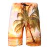 Pantalones de Playa de Verano para Hombre Nuevo Amazon Pantalones de Playa para Hombre Característica talla grande Estampado Secado Rápido Shorts Estilo Americano Pantalones Deportivos de Verano
