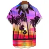 Camisa de Manga Corta para Hombre Estilo Hawái Caliente Nueva Impresión Digital 3D Playa Casual Transfronteriza Ropa para Hombre Europea y Americana