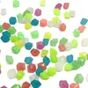 Piedras Trituradas Luminiscentes para la Oscuridad Juguetes Luminosos para Niños Manualidades de Resina Piedras de Colores Decoración para Acuarios y Macetas Juguetes de Piedras Preciosas