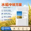 O plano de transplante intermediário de arroz promove o perfilhamento, o engalhamento, aumenta o número de panículas, previne o acamamento, o enchimento completo dos grãos, alto peso de mil grãos, excelente qualidade, produto superior