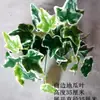 Planta de simulación planta verde accesorios de decoración de pared césped artificial accesorios mesa para el hogar pequeños bonsáis fabricantes mayoreo