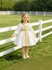 Vestidos Formales Europeos y Americanos de Comercio Exterior para Niñas, Vestidos de Princesa, Vestidos de Noche de Manga Larga, Vestidos Estampados de Florista para Actuaciones