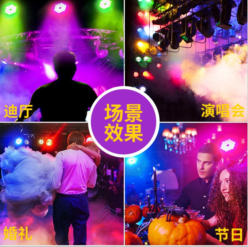 36颗帕灯-_18.jpg