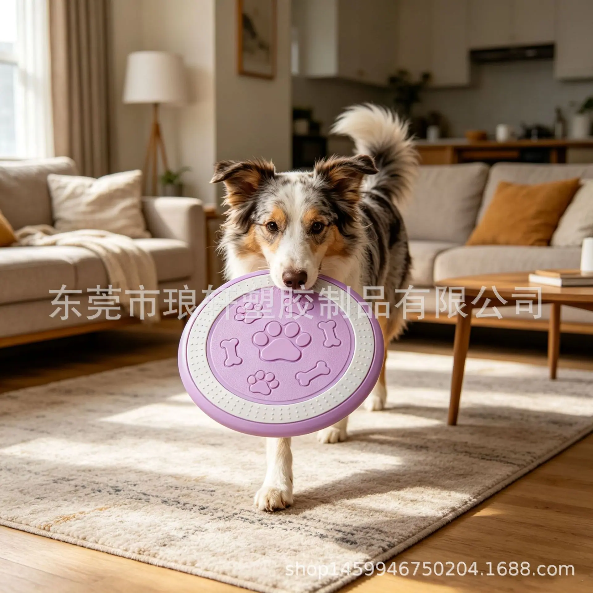 微信图片_20260525195040_1767_152