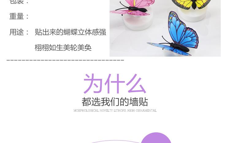发光蝴蝶_04
