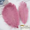 Plumas de avestruz de 20-25 cm, color natural, para decoración del hogar, arreglos florales, bodas, plumas de avestruz.
